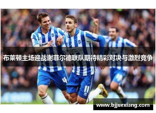 布莱顿主场迎战谢菲尔德联队期待精彩对决与激烈竞争