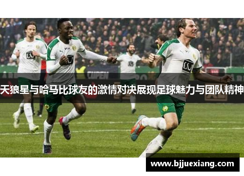 天狼星与哈马比球友的激情对决展现足球魅力与团队精神