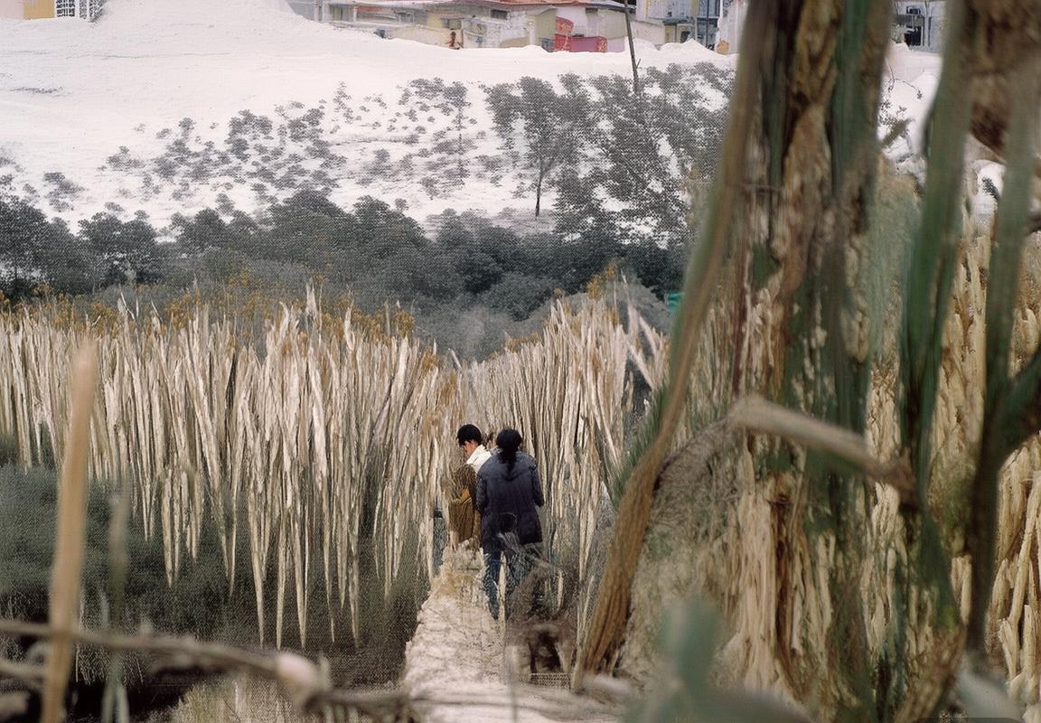 东亚足联U15锦标赛“死亡之组”引关注：中日韩同组检验中国U15男足青训实力